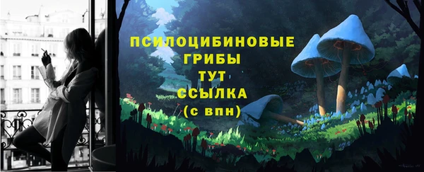 2c-b Абинск