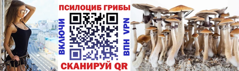 даркнет наркотические препараты  mega онион  Аксай  Галлюциногенные грибы Cubensis 